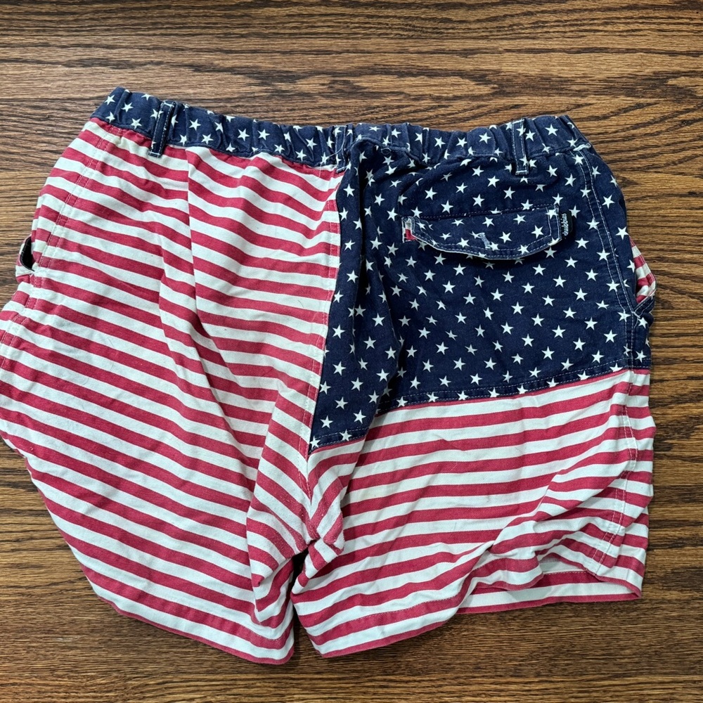 Chubbies- American Flag Patterned Shorts - image 2